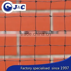 Anti Pigeon Protection Netting for Exhibition Hall,greenhouse Net , Anti Bird Protection Net,PE Agricultural Bird Netting thumbnail-2
