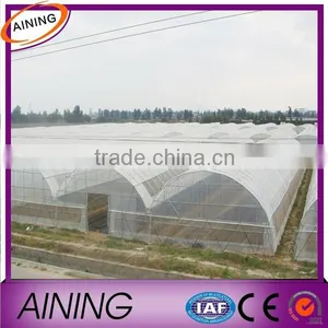 Agricultural Clear Greenhouse Polythene Film 200 Microns Quality Choice thumbnail-1