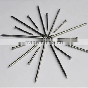 Common Nails Factory/Common Round Iron Nails/Iron Common Nail thumbnail-1