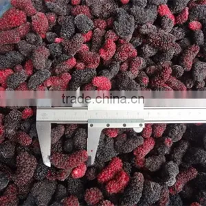 Frozen Style Fresh Chinese Mulberry thumbnail-1