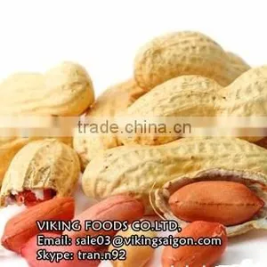 RED SKIN PEANUTS/GROUNDNUTS thumbnail-1