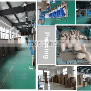 High Quality Ear Chinese Acupuncture Model thumbnail-4