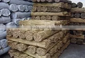 Bamboo Stick for Flower and Nursery ,plant Standing Support thumbnail-1