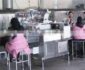 Biscuits on Edge Packaging Machine thumbnail-2