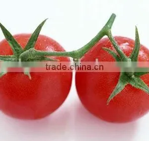 Tomato Paste Canned thumbnail-4