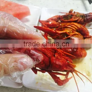 Disposable LDPE Hand Gloves for Cleaning thumbnail-5
