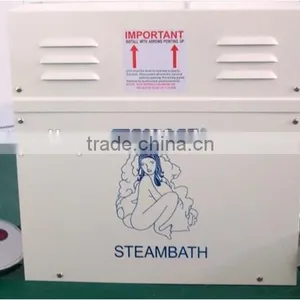Energy Saving Home Used 3KW220/240V 50-60hz Heating Steam Generator thumbnail-2
