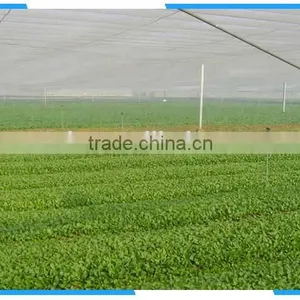 Cheap !!! Anti Trip Insect Net thumbnail-2