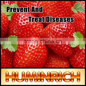 FAQ 8--How To Prevent And Treat Diseases Of Strawberry? thumbnail-1