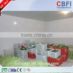 Low Temperature Cold Room Freezer for Fast Cooling thumbnail-6