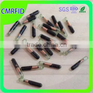 RFID Glass Tube Animal Tag With Good Quality thumbnail-1