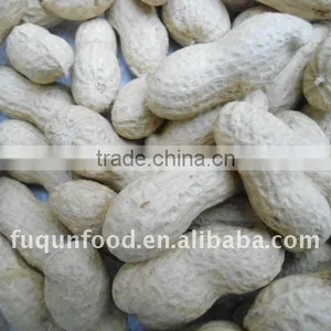 Washed Peanut in Shells 9/11 11/13 thumbnail-1