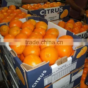 Fresh Valencia Orange thumbnail-5