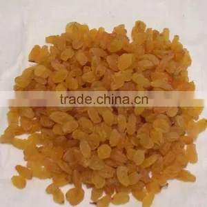 Raisins thumbnail-1
