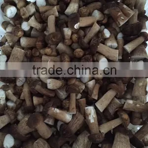 2016 Crop Frozen Boletus Edulis Mushroom With Best Price thumbnail-4