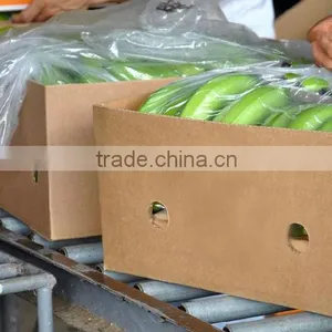 Ecuadorian Best Bananas Now in TURKEY thumbnail-1