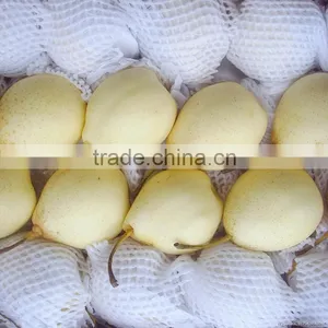 Fresh ya Pear&new Crop&the Most Lowest Price thumbnail-3