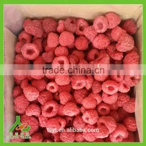 2016 Common and Organic Season Frozen Iqf Raspberry thumbnail-6