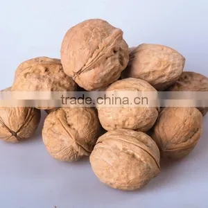 Natural Flavor Walnut Kernel for Selling and Fresh Walnut Kernel thumbnail-3