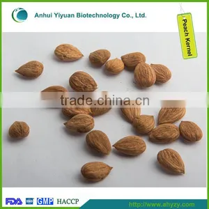 Chinese Dry Peach Kernel thumbnail-1