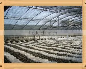 Chongqing Eusinasia Foods Co., Ltd. company overview - view 1 thumbnail