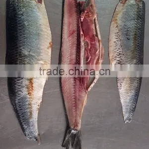 FGB-180 High Efficiency Medium Size Fish Fillet Filleting Filleter Machine thumbnail-5