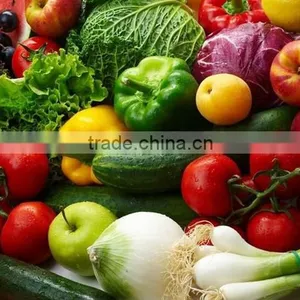 Chinese Indrustrial Stainless Steel High Pressure Ozone Vegetable and Fruit Washer thumbnail-6