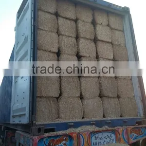 Wheat Straw thumbnail-1