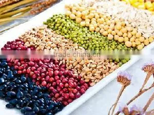 Digital Seed Counting Machine thumbnail-6