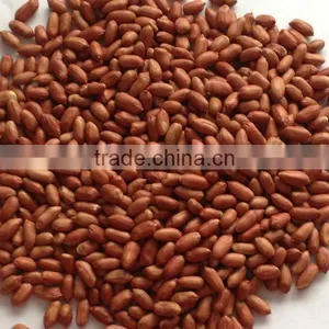Chinese Red Skin Peanut Kernel (24/28) thumbnail-1