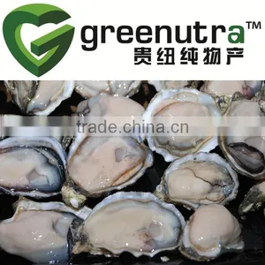 Oyster Extract thumbnail-3