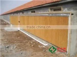 Automatic Broiler Poultry Equipment thumbnail-4