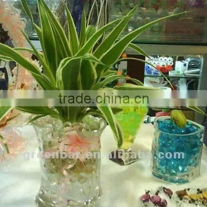 Colorful Planting Soil/deco Gel/ Hydro Gel thumbnail-1