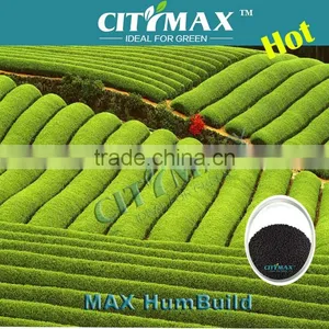 Humus Soil Humic Acid Granular thumbnail-1