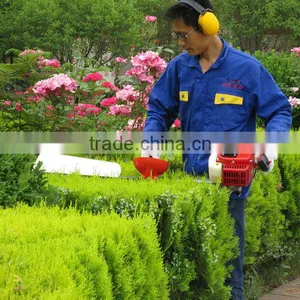 China Gasoline Engine Garden Machine Hedge Trimmer SL750B thumbnail-1