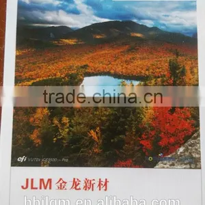 440gsm Pvc Flex Banner Sizes, PVC Coated Flex Banner thumbnail-1