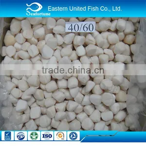 China Seafood Export Sea Frozen Scallop Adductor Meat thumbnail-1