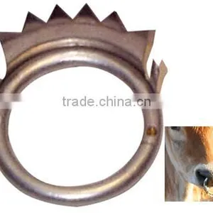 Calf Nose Ring thumbnail-1