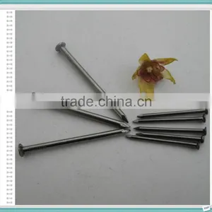 Wire Nails/wire Nails Maufactures in China thumbnail-4