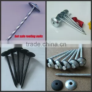 Best Selling Umbrella Head Roofing Nails in Africa thumbnail-6