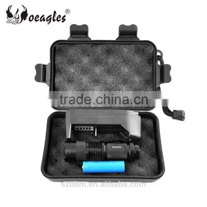 Custom Logo 395nm UV Led Flashlight Kit Mini Aluminum Alloy UV LED Flashlight Torch Set thumbnail-1
