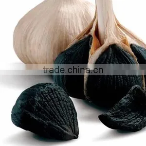 Amino Acids Food Supplement-black Garlic Ready Food thumbnail-1