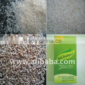 PSYLLIUM thumbnail-1