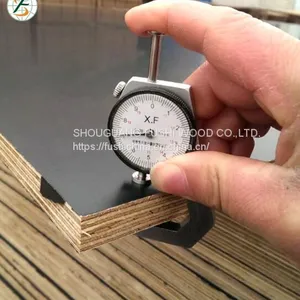 Construction Using BQ Brand Film Faced Plywood From Fushi Wood Group thumbnail-4