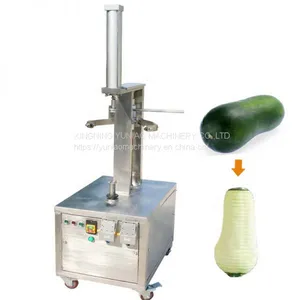 Stainless Steel Pumpkin Papaya Peeling Machine From Factory WT/8613824555378 thumbnail-2