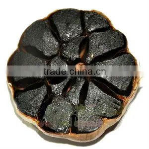 Black Garlic thumbnail-1