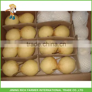 Fresh Ya Pear 2015 Chinese Pear Best Quality thumbnail-1
