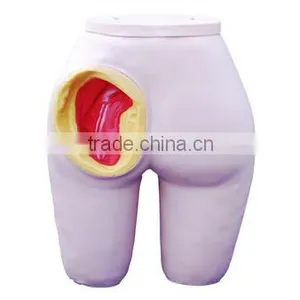 Intramuscular Injection Training Model thumbnail-1