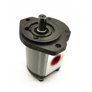 GHP2A Hydraulic Gear Pump GHP2A-D-6-FG GHP2A-D-9-FG GHP2A-D-10FG GHP2A-D-12-FG GHP2A-D-16-FG GHP2A-D-20-FG Etc Forklift Oil Pump thumbnail-2