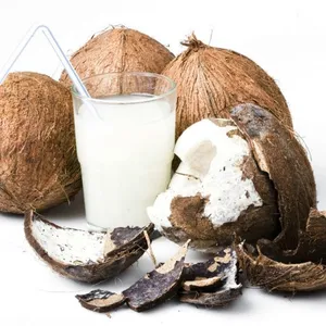 Coconut Water Processing Machine/coconut Juice Machine/coconut Milk Press thumbnail-4